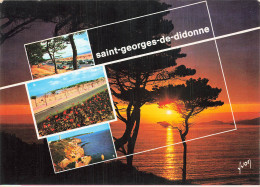 17 SAINT GEORGES DE DIDONNE  - Saint-Georges-de-Didonne
