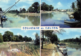 17 SAUJON  - Saujon