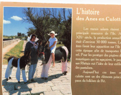 17 ILE DE RE HISTOIRE DES ANES EN CULOTTE - Ile De Ré