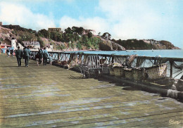 35 CANCALE LA JETEE ET LA COTE - Cancale