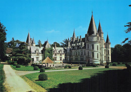 58 POUILLY SUR LOIRE LE CHÂTEAU DU NOZET - Pouilly Sur Loire