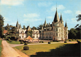 58 POUILLY SUR LOIRE LE CHÂTEAU DU NOZET - Pouilly Sur Loire