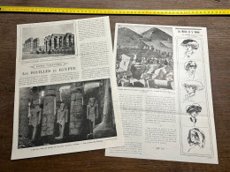1908 PATI FOUILLES EN EGYPTE Abusir Loucqsor Méfaits De La Voilette - Verzamelingen