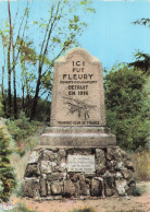 55 FLEURY MONUMENT - Other & Unclassified