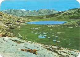 20B CORSE  LAC DE NINO - Other & Unclassified