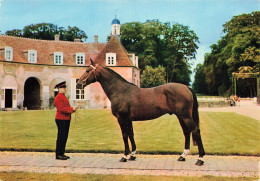 61 HARAS DU PIN  - Other & Unclassified