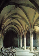 71 CLUNY L ABBAYE - Cluny