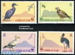 Gibraltar 1991 WWF 4v, Mint NH, Nature - Birds - World Wildlife Fund (WWF) - Gibilterra