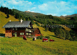 72796703 Grossarl Breitenebenalm Grossarl - Other & Unclassified