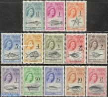 Tristan Da Cunha 1961 Definitives, Fish, Decimal System 13v, Mint NH, Nature - Fish - Fische