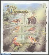 Micronesia 2001 Birds 6v M/s, Logrunner, Mint NH, Nature - Birds - Micronesia