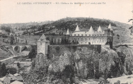 15-CHATEAU DU SAILLANT-N°4176-F/0291 - Sonstige & Ohne Zuordnung