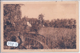 CHATILLONS-EN-BAZOIS- LA PASSERELLE DE COEUILLON - Chatillon En Bazois