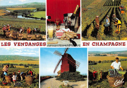 51-LA CHAMPAGNE VENDANGES-N°4177-A/0369 - Autres & Non Classés