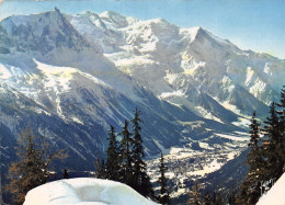 74-VALLEE DE CHAMONIX-N°4178-A/0207 - Andere & Zonder Classificatie