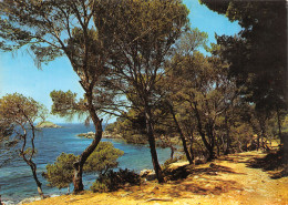 83-LA COTE D AZUR-N°4178-A/0189 - Sonstige & Ohne Zuordnung