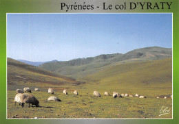 64-LE COL D YRATY-N°4178-A/0079 - Autres & Non Classés