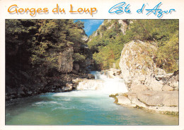 06-LES GORGES DU LOUP-N°4177-D/0365 - Other & Unclassified