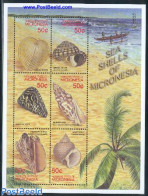 Micronesia 2001 Shells 6v M/s,, Mint NH, Nature - Shells & Crustaceans - Maritiem Leven
