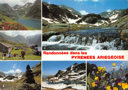 09-LES PYRENEES ARIEGEOISE-N°4177-D/0189 - Andere & Zonder Classificatie