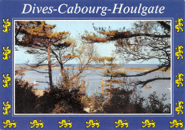14-DIVES CABOURG HOULGATE-N°4177-C/0345 - Autres & Non Classés