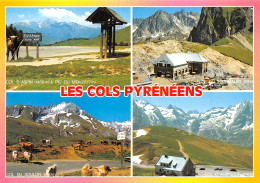 65-LES COLS PYRENEES-N°4178-D/0055 - Altri & Non Classificati