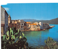 20-SAINT FLORENT-N°4178-C/0265 - Other & Unclassified