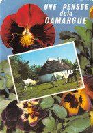 13-LA CAMARGUE-N°4178-C/0071 - Autres & Non Classés