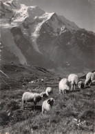 74-CHAMONIX-N°4178-B/0253 - Chamonix-Mont-Blanc