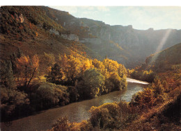 48-LES GORGES DU TARN-N°4179-B/0279 - Other & Unclassified