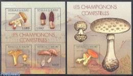 Burundi 2012 Mushrooms 2 S/s, Mint NH, Nature - Mushrooms - Champignons