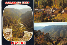 48-LES GORGES DU TARN-N°4179-A/0385 - Other & Unclassified