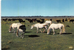 13-CAMARGUE-N°4179-A/0183 - Sonstige & Ohne Zuordnung