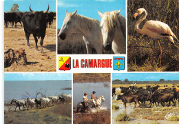 13-CAMARGUE-N°4179-A/0181 - Sonstige & Ohne Zuordnung