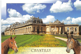 60-CHANTILLY-N°4179-A/0079 - Chantilly