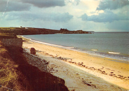 56-BELLE ISLE EN MER-N°4178-D/0167 - Belle Ile En Mer