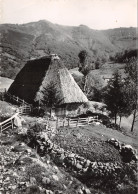 15-LE PLOMB DU CANTAL-N°4179-C/0295 - Sonstige & Ohne Zuordnung