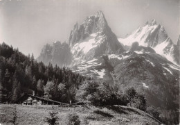 74-LES AIGUILLES ROUTE D ARTGENTIERES-N°4179-C/0299 - Other & Unclassified