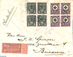 Suriname, Colony 1928 Registered Airmail From Paramaribo To Bussum, Postal History - Sonstige & Ohne Zuordnung