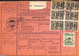 Suriname, Colony 1929 Parcel Card Paramaribo-Brooklyn, Postal History - Andere & Zonder Classificatie