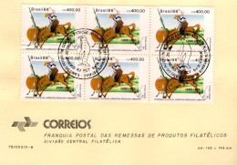 BRESIL 1989 RODEO BRESILIEN - Lettres & Documents