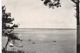 33-ARCACHON-N°4179-B/0397 - Arcachon