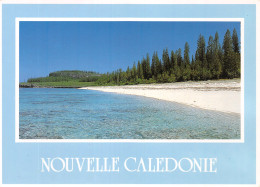 988-NOUVELLE CALEDONIE-N°4180-B/0325 - Nouvelle Calédonie