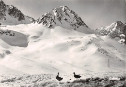 05-COL DU LAUTARET-N°4180-B/0179 - Otros & Sin Clasificación