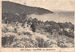 06-LA COTE D AZUR-N°4180-B/0125 - Other & Unclassified