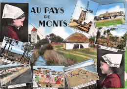 85-AU PAYS DE MONTS-N°4180-B/0043 - Autres & Non Classés