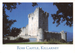 IRL-IRLANDE KILLARNEY-N°4181-B/0223 - Otros & Sin Clasificación