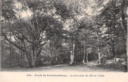 77-FONTAINEBLEAU LA FORET-N°LP5130-B/0203 - Fontainebleau
