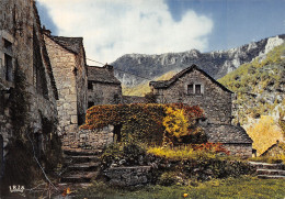 48-LES GORGES DU TARN-N°4181-B/0191 - Sonstige & Ohne Zuordnung