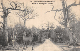 77-FONTAINEBLEAU LA FORET-N°LP5130-B/0033 - Fontainebleau